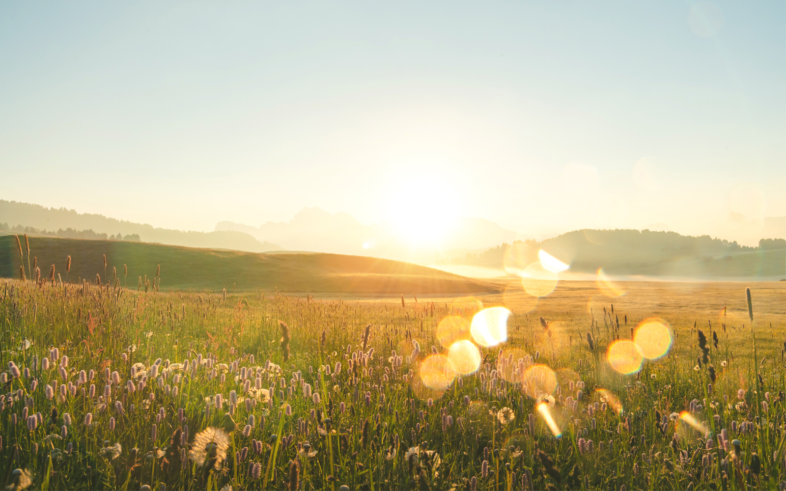 An open field with rolling hills and a clear blue sky.